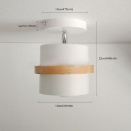 Ronde Macaron Spotlight Chromatische Plafondlamp (Enkele Lamp)