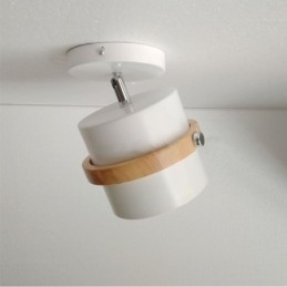 Ronde Macaron Spotlight Chromatische Plafondlamp (Enkele Lamp)