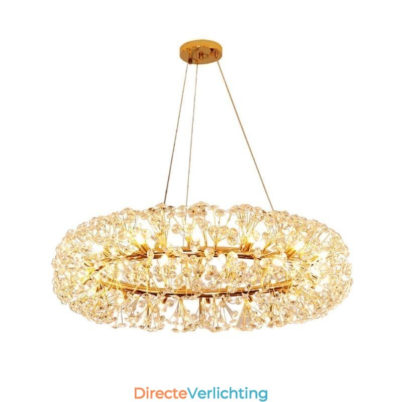 Hanglamp Modern Minimalistisch Smeedijzeren Ronde Zonnebloem Plafondlamp