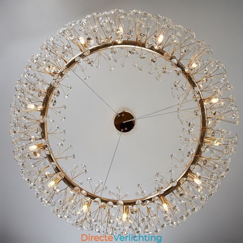 Hanglamp Modern Minimalistisch Smeedijzeren Ronde Zonnebloem Plafondlamp