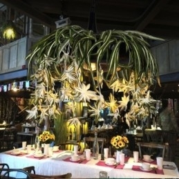 Home Hanglamp Industriële Stijl Kunstmatige Plant Versierde Kroonluchter