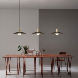 Moderne eenvoudige hanglampen