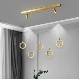 Hanglamp Acryl Ringlamp met Spot