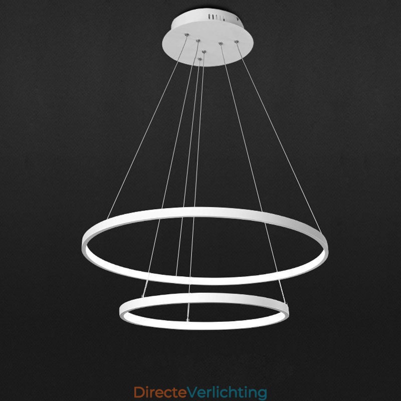 Moderne eenvoudige hanglamp van aluminium met dubbele ring