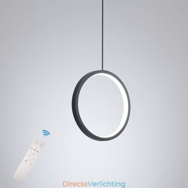Minimalistische ringvormige hanglamp Decoratieve plafondlamp