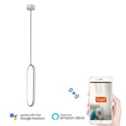 Ovale hanglamp, decoratieve lamp van acryl