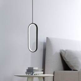 Ovale hanglamp, decoratieve lamp van acryl