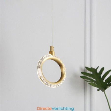 Hanglamp Acryl Ringlamp met Spot Hanglamp Acryl Ringlamp met Spot