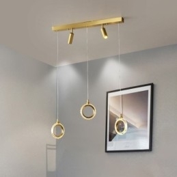 Hanglamp Acryl Ringlamp met Spot