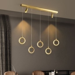 Hanglamp Acryl Ringlamp met Spot
