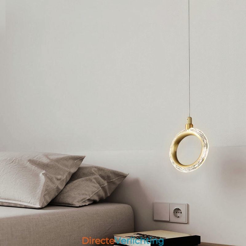 Hanglamp Acryl Ringlamp met Spot