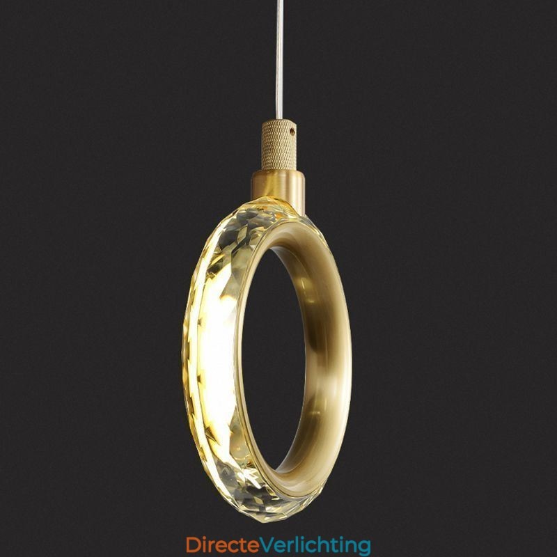 Hanglamp Acryl Ringlamp met Spot