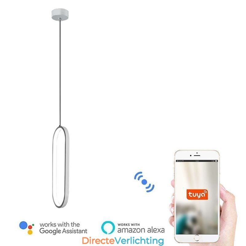 Ovale hanglamp, decoratieve lamp van acryl