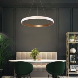 Ring Hanglamp Minimalistische Acryl Lichtarmatuur