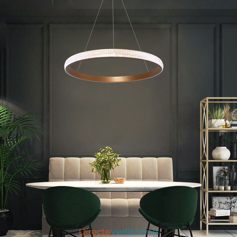Ring Hanglamp Minimalistische Acryl Lichtarmatuur