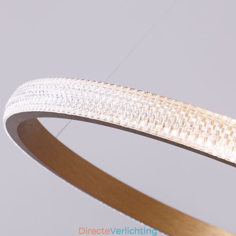 Ring Hanglamp Minimalistische Acryl Lichtarmatuur