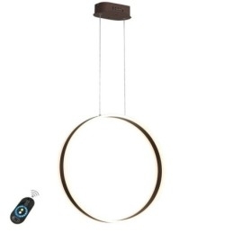 Nordic Hanglamp Acryl Ringvormige Hanglamp