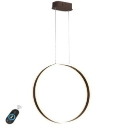 Nordic Hanglamp Acryl Ringvormige Hanglamp