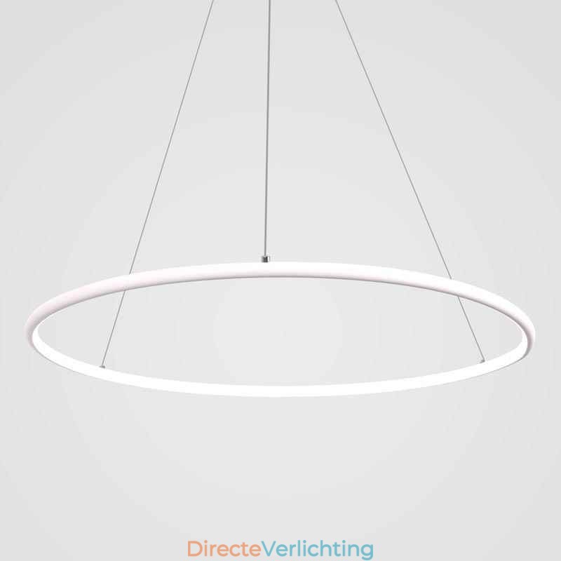 Moderne hanglamp cirkellamp 60cm 80cm