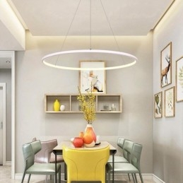 Moderne hanglamp cirkellamp 60cm 80cm