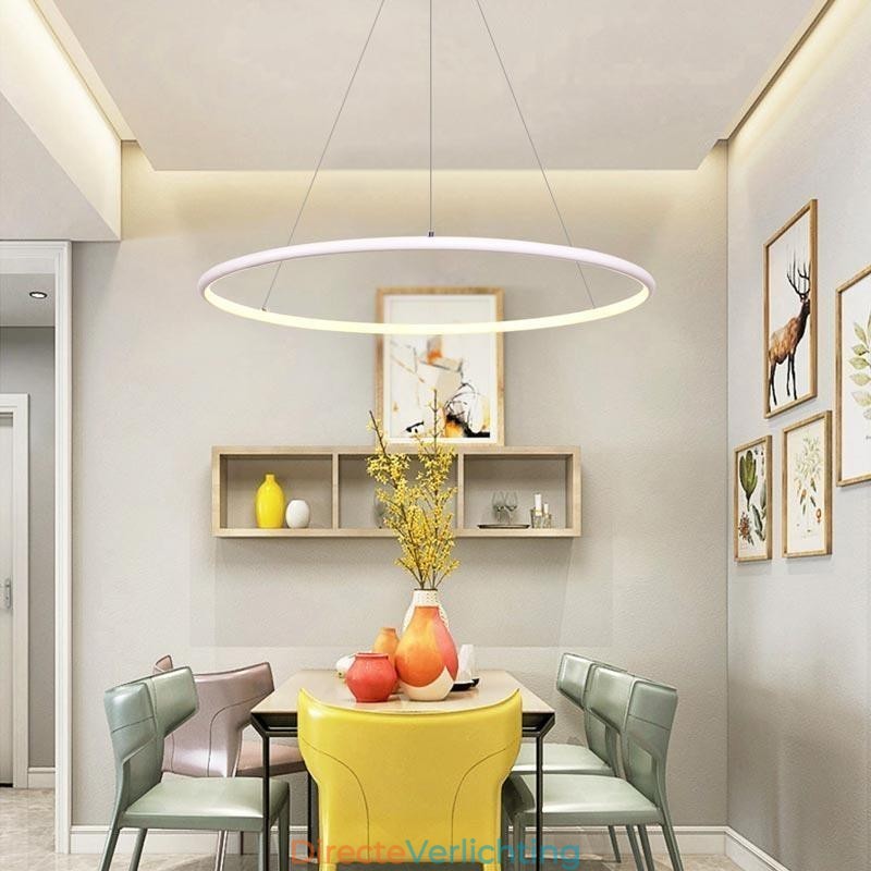 Moderne hanglamp cirkellamp 60cm 80cm