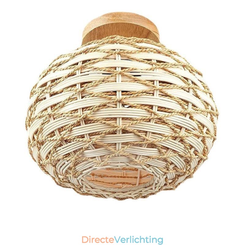 Houten kleur pompoen inbouw papieren touw rotan geweven lampenkap
