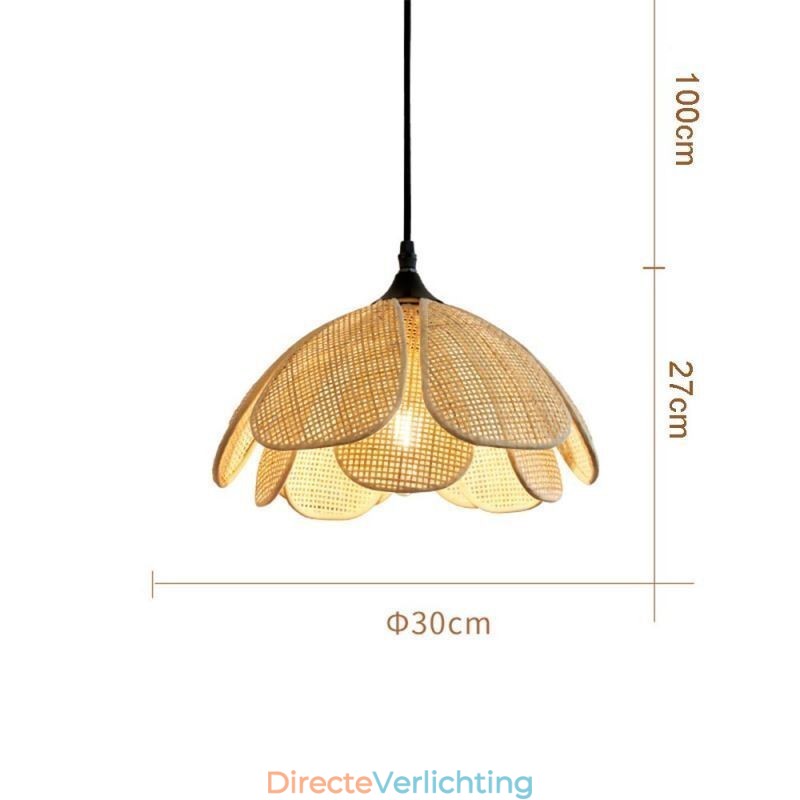 Rotan hanglamp Retro rotan plafondlamp