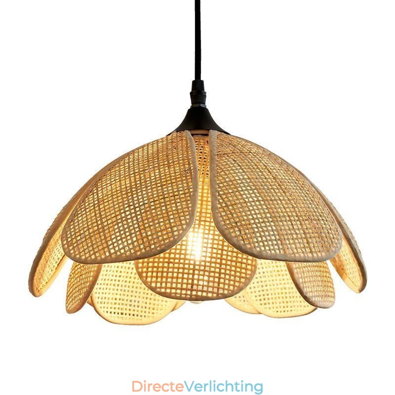 Rotan hanglamp Retro rotan plafondlamp