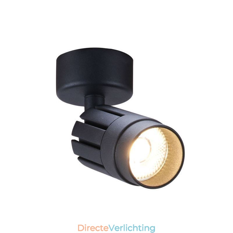 Draaibare COB-spot Zwarte plafondspot (enkele lamp)