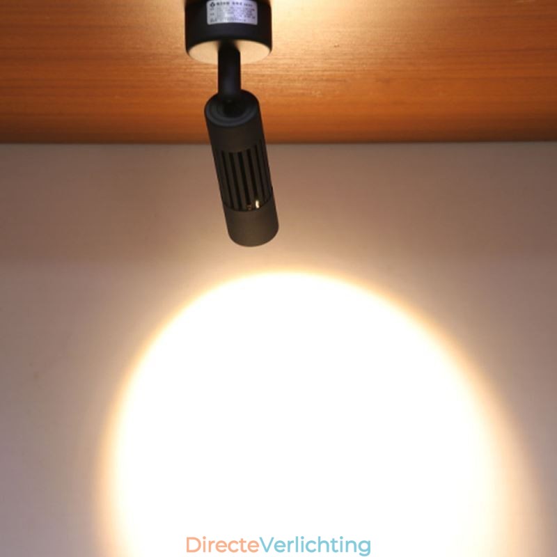 Draaibare COB-spot Zwarte plafondspot (enkele lamp)