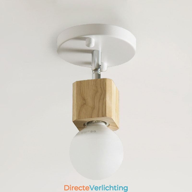 Eenvoudige Mini Spotlight Moderne Witte Plafondlamp (Enkele Lamp)