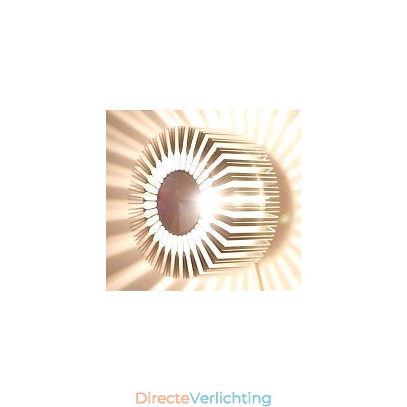 Embed ronde zonnebloem type aluminium projectie wandlamp