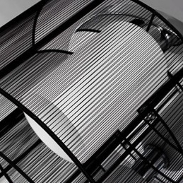 Plafondlamp Modern Design 2 Lampen Zwart