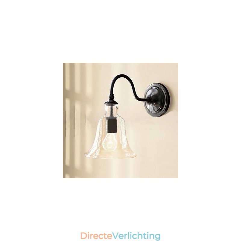 Door de natuur geïnspireerde wandlamp van ijzer met transparante glazen kap