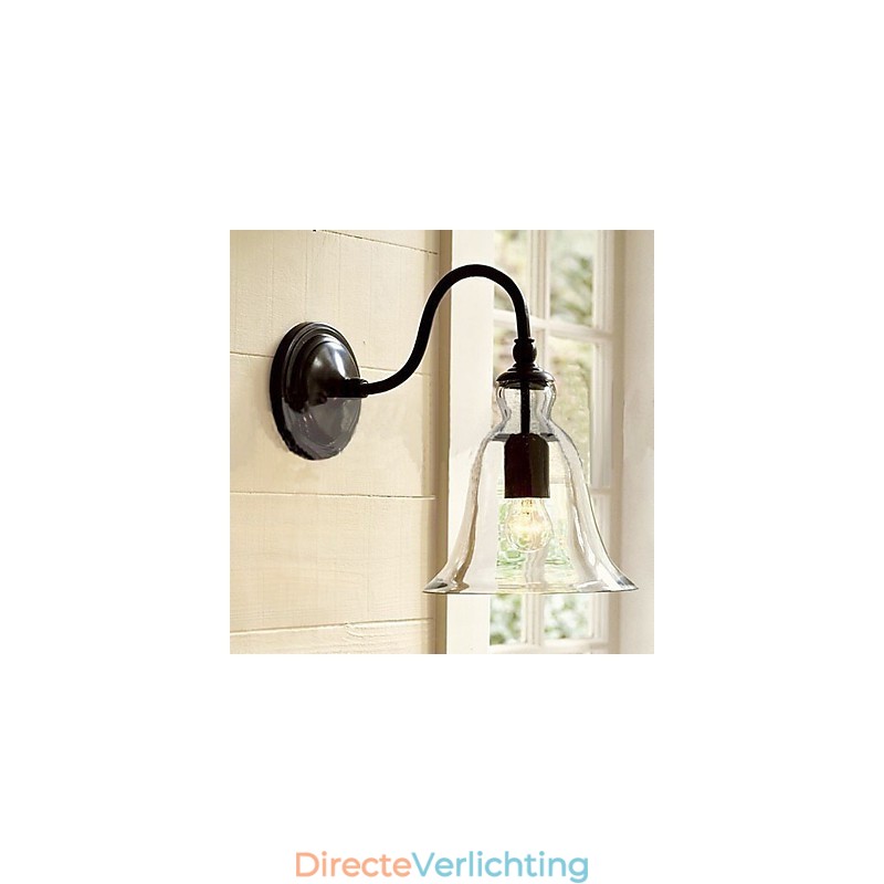 Door de natuur geïnspireerde wandlamp van ijzer met transparante glazen kap