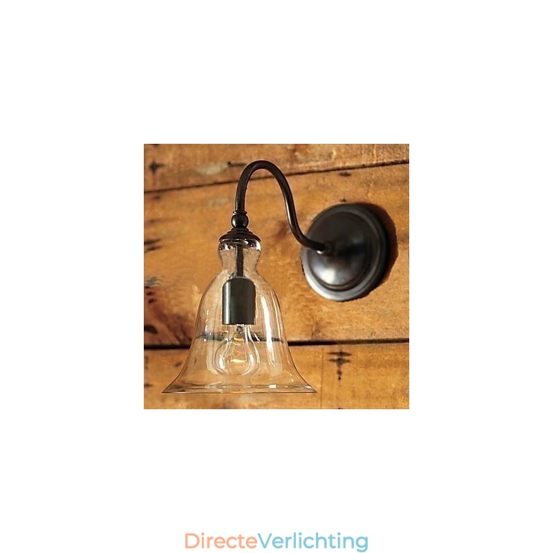 Door de natuur geïnspireerde wandlamp van ijzer met transparante glazen kap