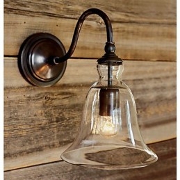 Door de natuur geïnspireerde wandlamp van ijzer met transparante glazen kap