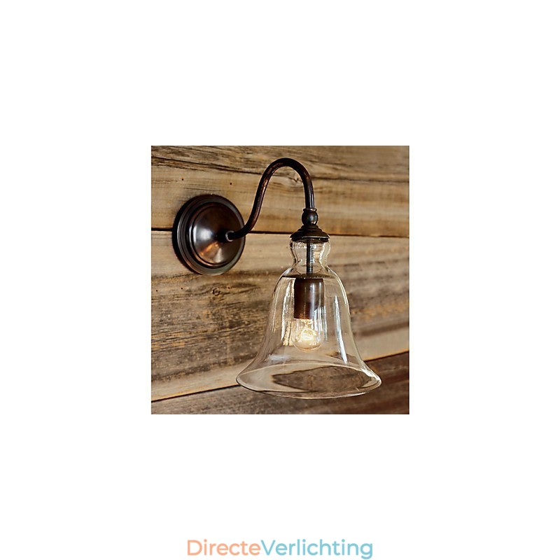 Door de natuur geïnspireerde wandlamp van ijzer met transparante glazen kap