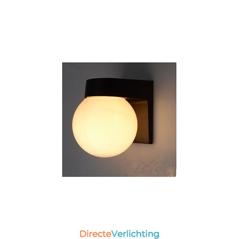 Acryl Schelp Wandlamp