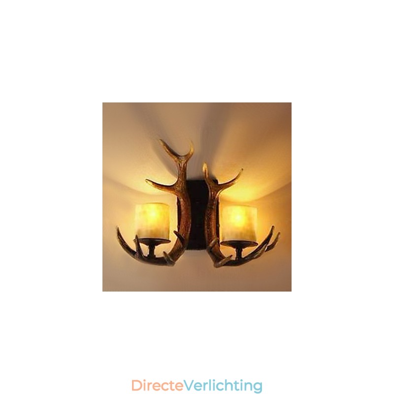 Wandlamp met 2 lampen in gewei-functie