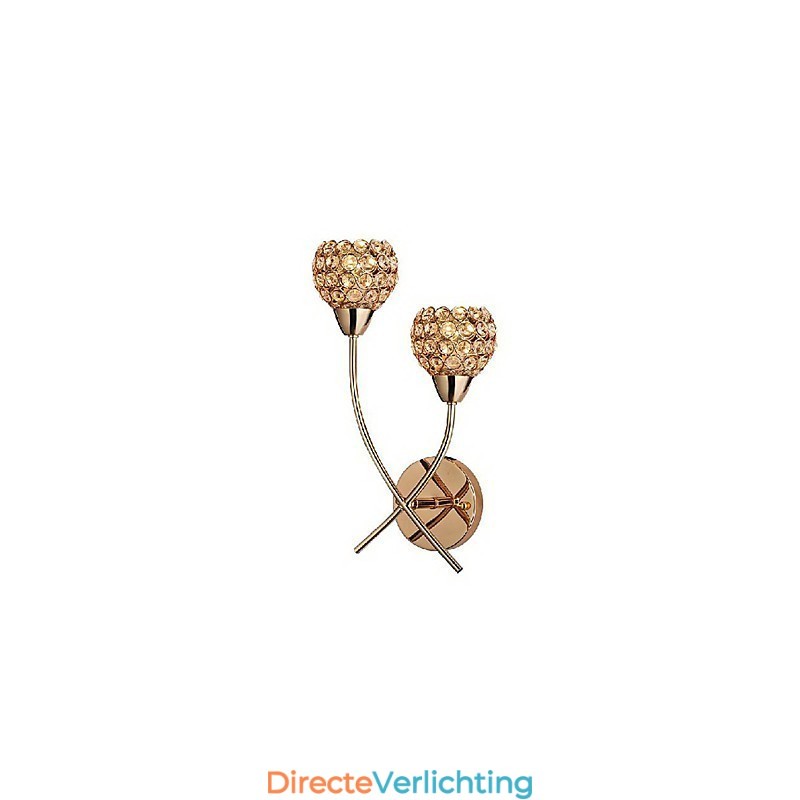 Kristal Gouden Wandlamp In 2 Lichten