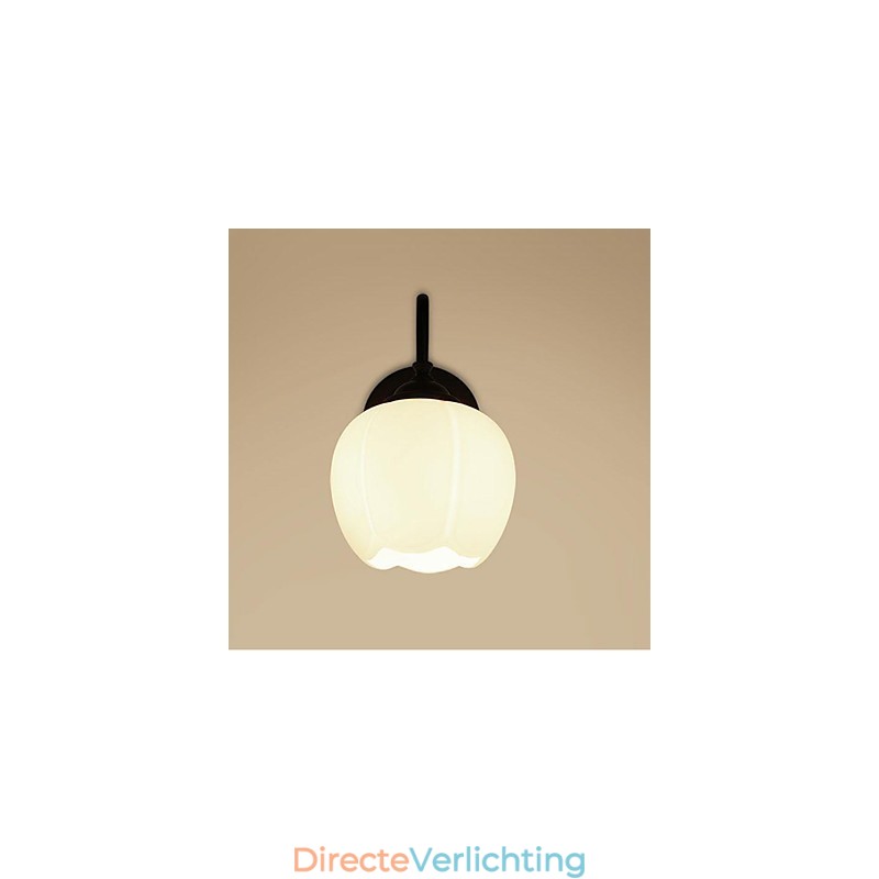 Moderne eigentijdse rustieke lodge landelijke andere kenmerken voor mini-stijl downlight wandlampen wandlamp
