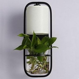 Moderne ijzeren creatieve potplanten glazen wandlamp