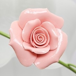 Valentijnsdag De rozentuin Bloemen en planten absorberen koepellicht