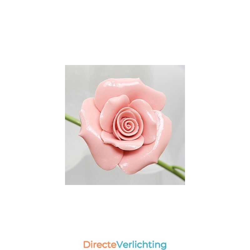 Valentijnsdag De rozentuin Bloemen en planten absorberen koepellicht