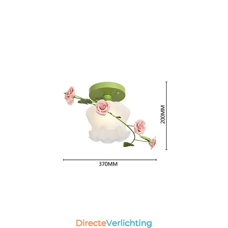 Valentijnsdag De rozentuin Bloemen en planten absorberen koepellicht