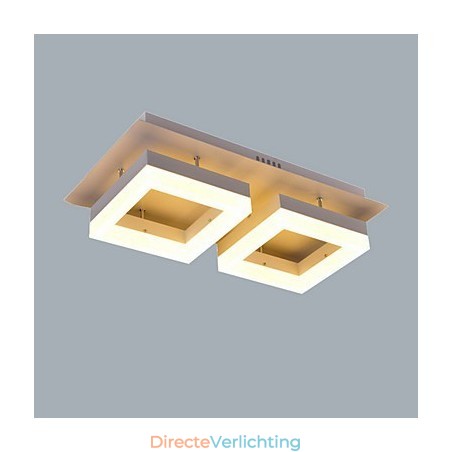 Duurzaam ontworpen plafond hanglamp Duurzaam ontworpen plafond hanglamp