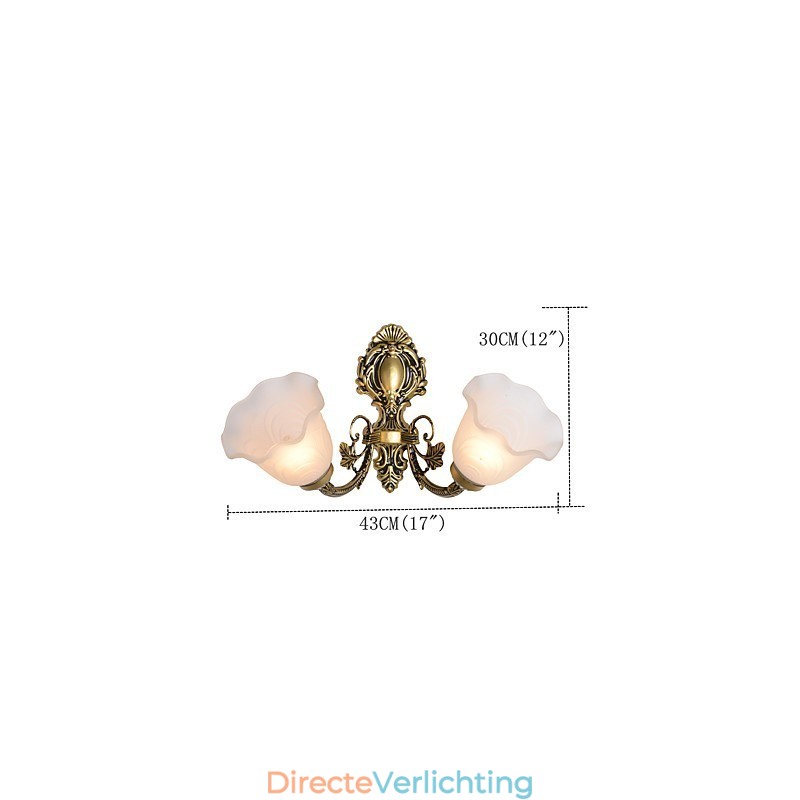 Landelijke schilderfunctie voor Mini-stijl Uplight wandlampen Wandlamp