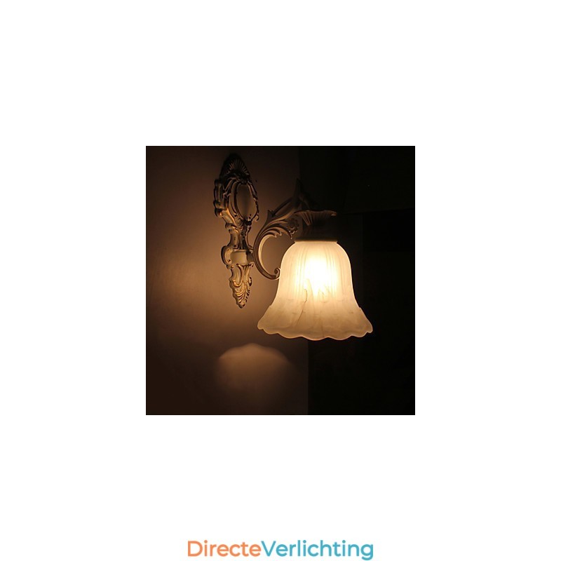 Moderne hedendaagse schilderfunctie voor downlight wandlampen wandlamp
