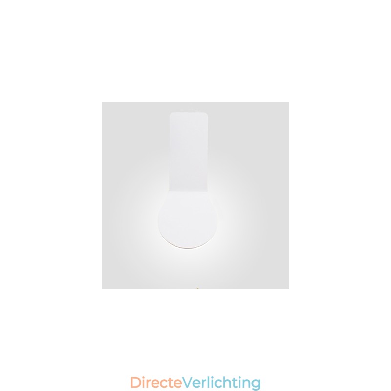 Geïntegreerde moderne hedendaagse schilderfunctie voor downlight wandlampen wandlamp